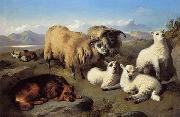 Sheep 191